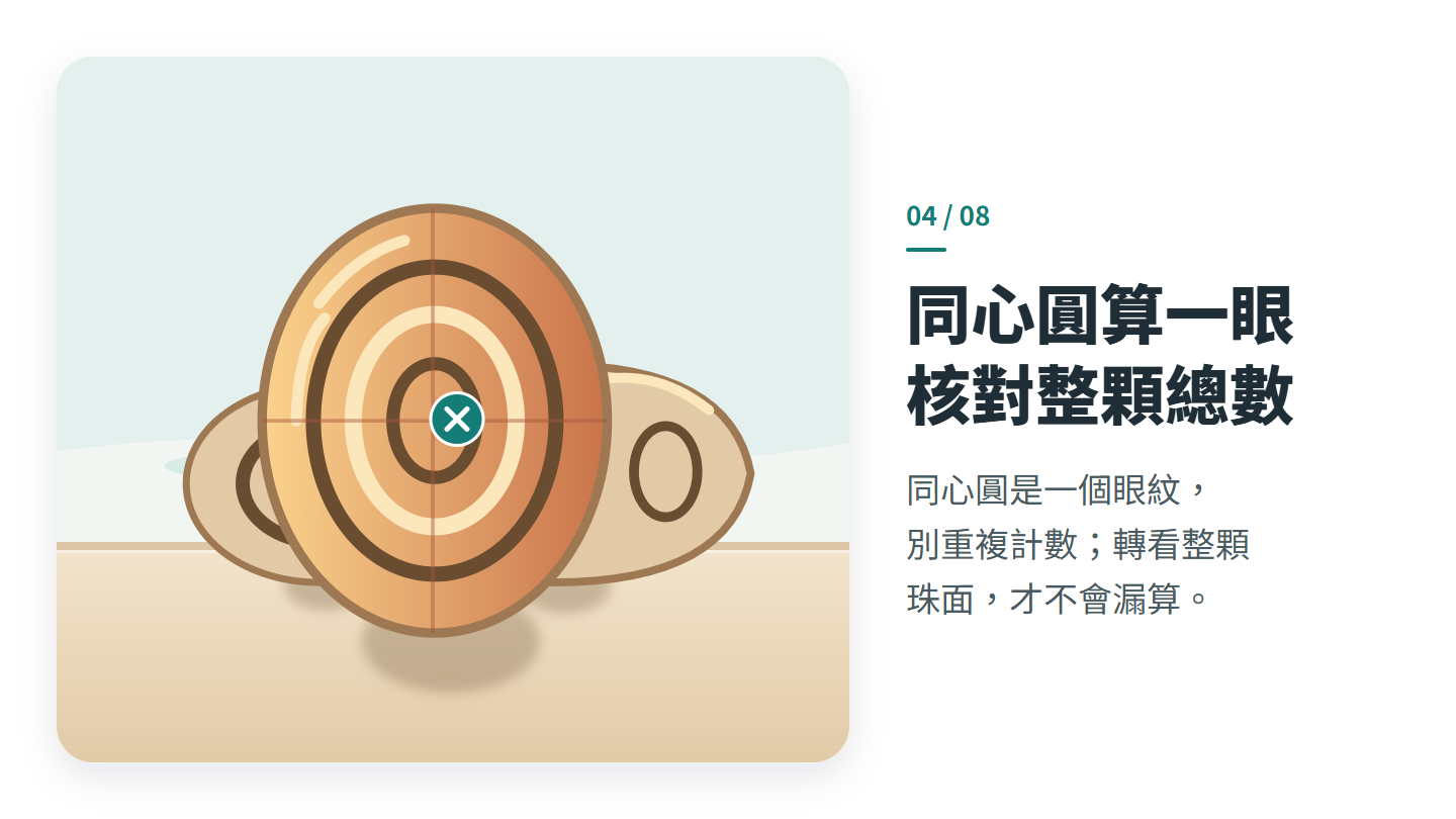 同心圓算一眼 核對整顆總數